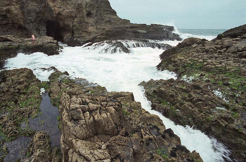 WT 0200 011-12 New Zealand.jpg